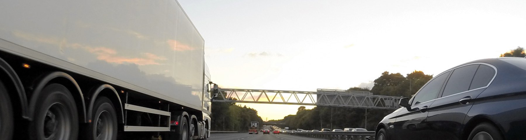 Alterna filbibliotek